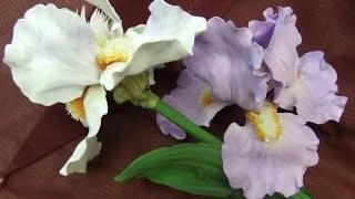 Іриси з холодного відео! Відео серфінг (іриси) Іриси з холодного відео! Відео серфінг