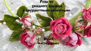 Іриси з холодного відео! Відео серфінг (Ірис холодного фарфору) Іриси з холодного відео! Відео серфінг
