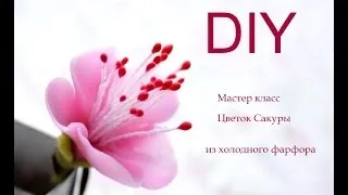 Іриси з холодного відео! Відео серфінг (холодного) Іриси з холодного відео! Відео серфінг