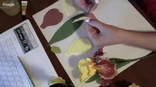 Іриси з холодного відео! Відео серфінг (Ірис холодного фарфору) Іриси з холодного відео! Відео серфінг