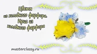 Іриси з холодного відео! Відео серфінг (іриси) Іриси з холодного відео! Відео серфінг