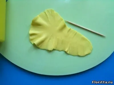 Іриси з холодного фарфору