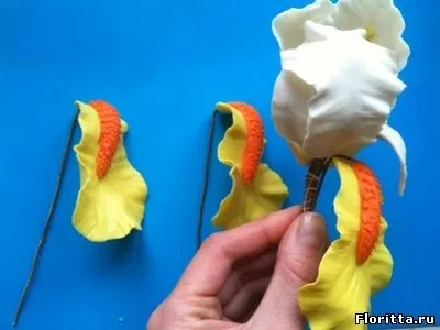 Іриси з холодного фарфору