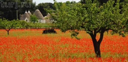 Італія, Альберобелло що таке трулли або є будиночок - і немає будиночка! (Є) Італія, Альберобелло що таке трулли або є будиночок - і немає будиночка!