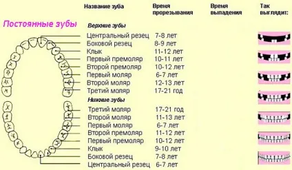 Виправлення прикусу у дітей вправи і лікування (виправлення) Виправлення прикусу у дітей вправи і лікування