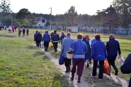 Випробувано на собі як я збирала і продавала чорницю - факти плітки реклама (продавала) Випробувано на собі як я збирала і продавала чорницю - факти плітки реклама