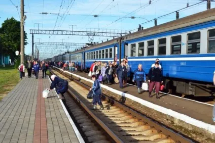 Випробувано на собі як я збирала і продавала чорницю - факти плітки реклама (цього року ягід) Випробувано на собі як я збирала і продавала чорницю - факти плітки реклама