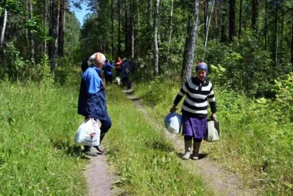 Випробувано на собі як я збирала і продавала чорницю - факти плітки реклама (збирала) Випробувано на собі як я збирала і продавала чорницю - факти плітки реклама