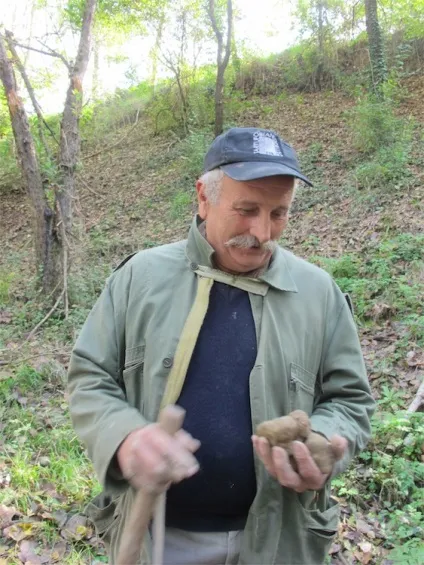 Історія однієї полювання або чим пахне тосканський трюфель, «подорожі, зроблені вручну» (однієї) Історія однієї полювання або чим пахне тосканський трюфель, «подорожі, зроблені вручну»