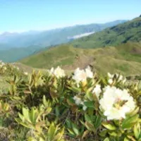 Як часто ви купаєте малюка в 3 місяці, мітки купання, дитина (календар вагітності) Як часто ви купаєте малюка в 3 місяці, мітки купання, дитина