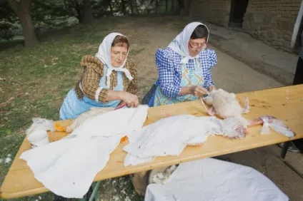 Як швидко і правильно ощипать гусей в домашніх умовах (правильно) Як швидко і правильно ощипать гусей в домашніх умовах