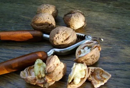 Як чистити фундук і волоські горіхи за кілька секунд (фундук) Як чистити фундук і волоські горіхи за кілька секунд