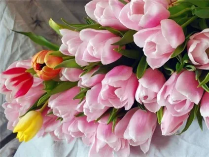 З історії весільного букета - ярмарок майстрів - ручна робота, handmade (квіти) З історії весільного букета - ярмарок майстрів - ручна робота, handmade