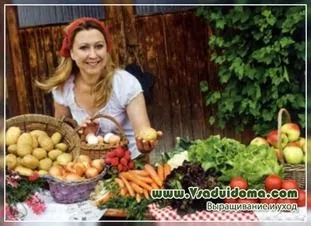 Які овочі прибирають у вересні і як їх зберігають, сайт про сад, дачі і кімнатних рослинах (деформований світло-зеленого кольору) Які овочі прибирають у вересні і як їх зберігають, сайт про сад, дачі і кімнатних рослинах
