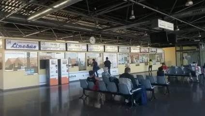 Як дістатися в Торревьехе з аліканте (аеропорту і центру міста) (як добратися) Як дістатися в Торревьехе з аліканте (аеропорту і центру міста)