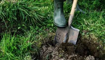 Як і де правильно поховати собаку, все про собак (поховати) Як і де правильно поховати собаку, все про собак