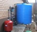 Як позбутися від водяного щура (питання і відповіді) Як позбутися від водяного щура