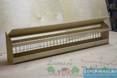 Як виготовити годівницю для голубів своїми руками (голубів) Як виготовити годівницю для голубів своїми руками
