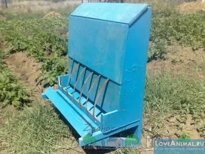 Як виготовити годівницю для голубів своїми руками (виготовити) Як виготовити годівницю для голубів своїми руками