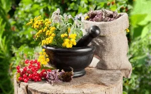 Як можна вилікувати гіпертонічну хворобу народними засобами (гіпертонічну) Як можна вилікувати гіпертонічну хворобу народними засобами