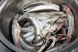 Як маринувати корюшку рецепти кулінарії (корюшку) Як маринувати корюшку рецепти кулінарії