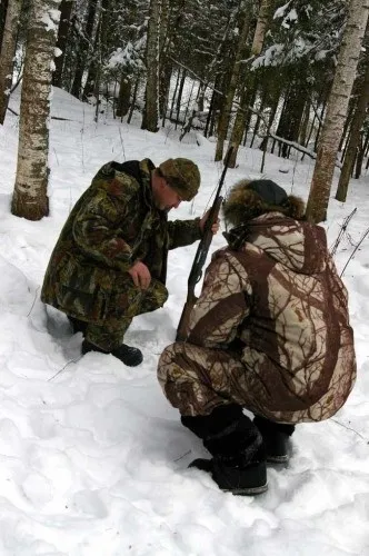 Як ловити рибу на samp-rp на сайті (ловити) Як ловити рибу на samp-rp на сайті
