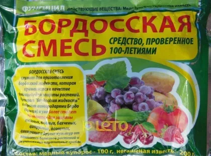Як лікувати Моніліоз у плодових дерев - башагропласт (лікувати) Як лікувати Моніліоз у плодових дерев - башагропласт