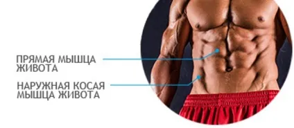 Як накачати нижній прес живота вправи (скручування) Як накачати нижній прес живота вправи