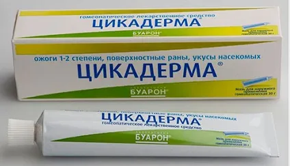 Як лікувати укуси клопів ніж мазати, ліки від клопів, фото і відео (ліки) Як лікувати укуси клопів ніж мазати, ліки від клопів, фото і відео