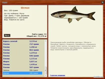 Як ловити рибу на samp-rp на сайті (ловити) Як ловити рибу на samp-rp на сайті