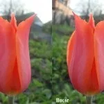 Блог фотографа, обробка пейзажів в photoshop (накладення Overlay Перекриття) Блог фотографа, обробка пейзажів в photoshop