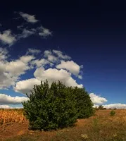 Блог фотографа, обробка пейзажів в photoshop (накладення Overlay Перекриття) Блог фотографа, обробка пейзажів в photoshop