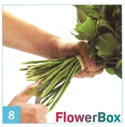 Блог доставки квітів і подарунків flowerbox - новини компанії, корисні статті та майстер-класи - як