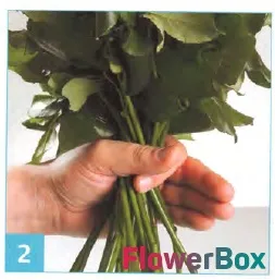 Блог доставки квітів і подарунків flowerbox - новини компанії, корисні статті та майстер-класи - як