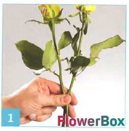 Блог доставки квітів і подарунків flowerbox - новини компанії, корисні статті та майстер-класи - як