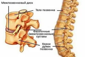 Біль в попереку у чоловіків ліворуч, праворуч, ниючий і тягнучий біль, причини виникнення