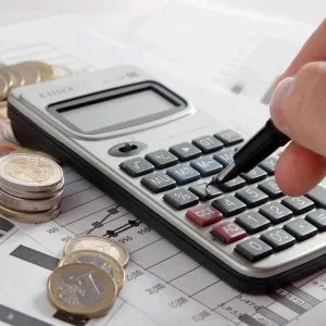 Бізнес-план розплідника кішок, як відкрити розплідник кішок (кішок) Бізнес-план розплідника кішок, як відкрити розплідник кішок