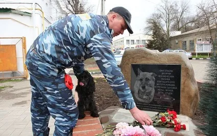 Бойова вівчарка Елга