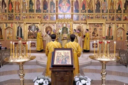 Божественна літургія з поясненнями - ліки для душі (Божественна літургія поясненнями) Божественна літургія з поясненнями - ліки для душі