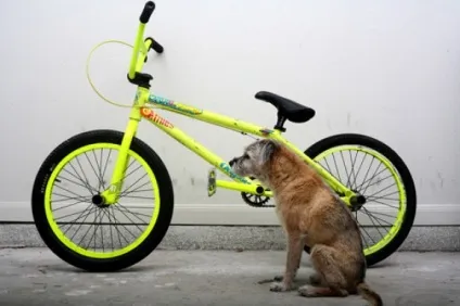 Bmx як мистецтво (art), інтернет-журнал про велосипедах (сайт портал про велосипедах) Bmx як мистецтво (art), інтернет-журнал про велосипедах