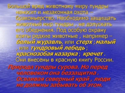 Великої шкоди тваринному світу тундри завдає і незаконне полювання - - презентація 16278-9 (географії) Великої шкоди тваринному світу тундри завдає і незаконне полювання - - презентація 16278-9