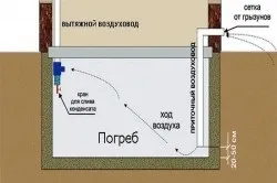 Як обладнати підвал послідовність робіт (Обладнання льоху своїми руками) Як обладнати підвал послідовність робіт