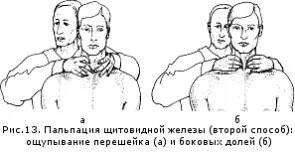 Як намацати щитовидну залозу (ендокринологія) Як намацати щитовидну залозу