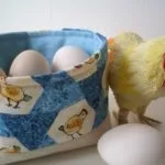 Як визначити стать у свійської птиці - 6 способів (визначення статі птахів) Як визначити стать у свійської птиці - 6 способів