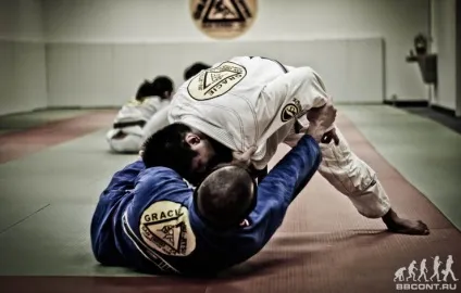 Як відкрити спортивну секцію єдиноборств (секцію) Як відкрити спортивну секцію єдиноборств
