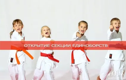 Як відкрити спортивну секцію єдиноборств (секцію) Як відкрити спортивну секцію єдиноборств