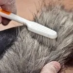 Як відіпрати цвіль з одягу