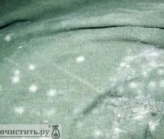 Як почистити норкову шапку (почистити) Як почистити норкову шапку