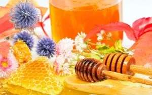 Як їжа впливає на психіку людини (людини) Як їжа впливає на психіку людини