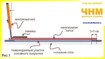 Як відремонтувати підлогу з лінолеуму, поради господарям - поради будівельникам, майстрам, господарям (Найчастіший пошкодження) Як відремонтувати підлогу з лінолеуму, поради господарям - поради будівельникам, майстрам, господарям